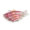Leurre Fox Rage Replicant Realistic Trout – 20g [Taille 10 cm] -Magasin de pêche NRE161