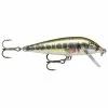 Leurre Plongeant Rapala Countdown® 8g [Taille 7 cm] -Magasin de pêche ra5816038